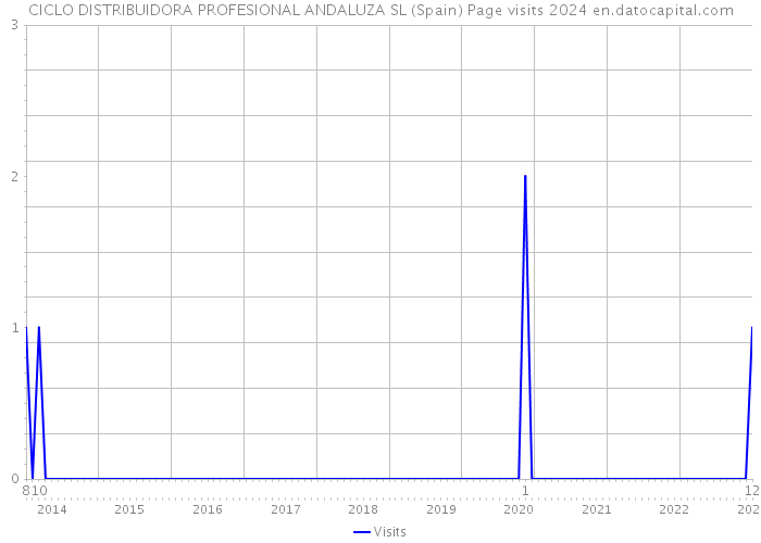 CICLO DISTRIBUIDORA PROFESIONAL ANDALUZA SL (Spain) Page visits 2024 
