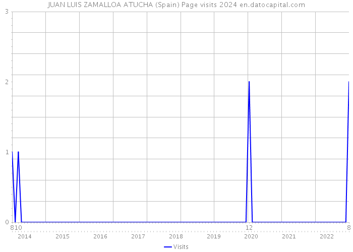 JUAN LUIS ZAMALLOA ATUCHA (Spain) Page visits 2024 