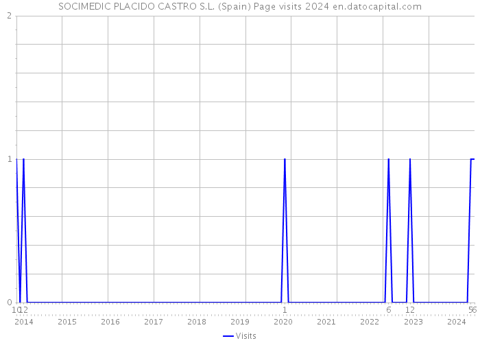 SOCIMEDIC PLACIDO CASTRO S.L. (Spain) Page visits 2024 