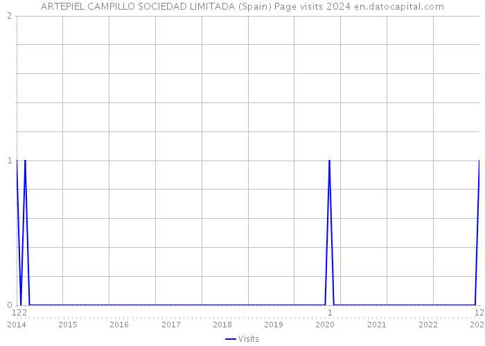 ARTEPIEL CAMPILLO SOCIEDAD LIMITADA (Spain) Page visits 2024 
