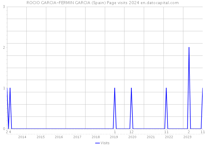 ROCIO GARCIA-FERMIN GARCIA (Spain) Page visits 2024 