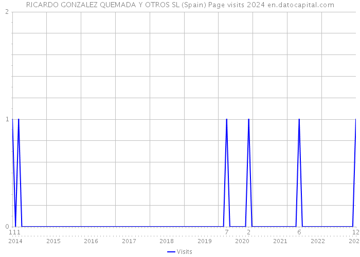 RICARDO GONZALEZ QUEMADA Y OTROS SL (Spain) Page visits 2024 