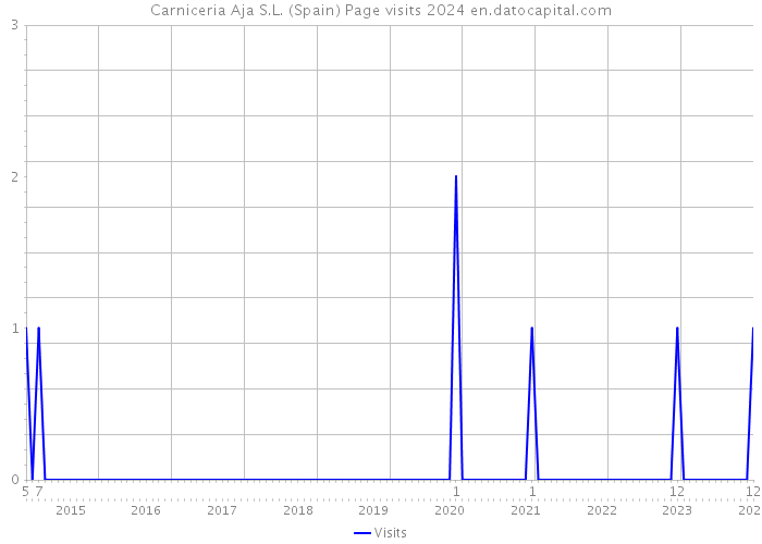 Carniceria Aja S.L. (Spain) Page visits 2024 