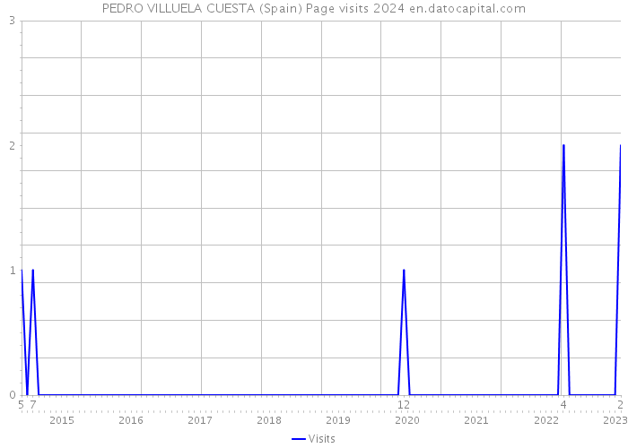 PEDRO VILLUELA CUESTA (Spain) Page visits 2024 