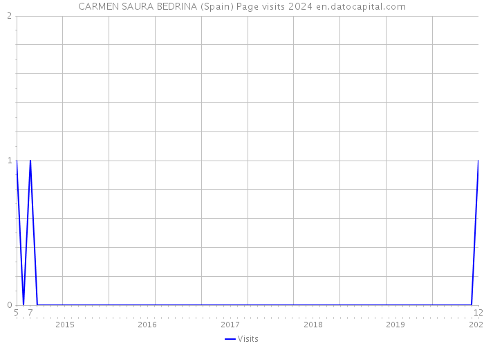 CARMEN SAURA BEDRINA (Spain) Page visits 2024 