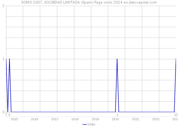 SOMO 2007, SOCIEDAD LIMITADA (Spain) Page visits 2024 