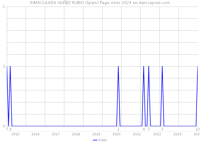 INMACULADA NUÑEZ RUBIO (Spain) Page visits 2024 