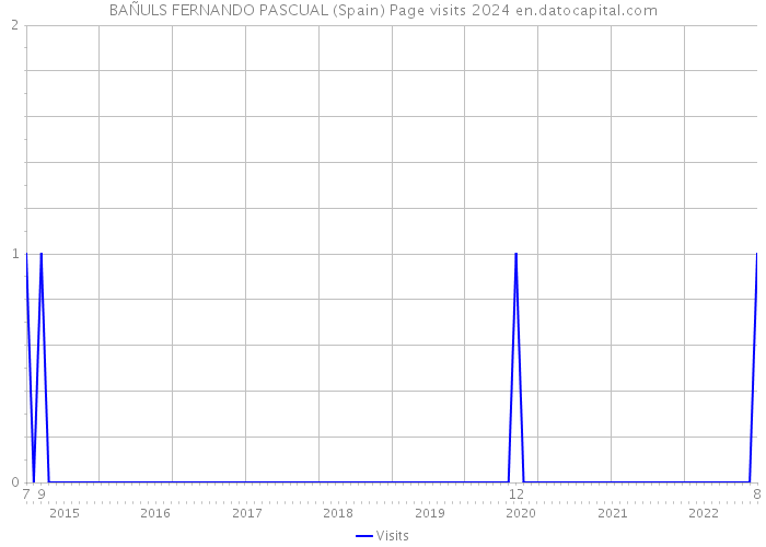 BAÑULS FERNANDO PASCUAL (Spain) Page visits 2024 