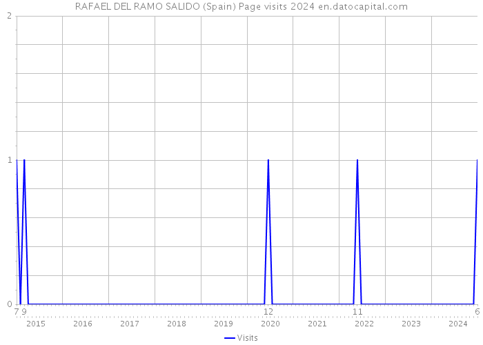 RAFAEL DEL RAMO SALIDO (Spain) Page visits 2024 