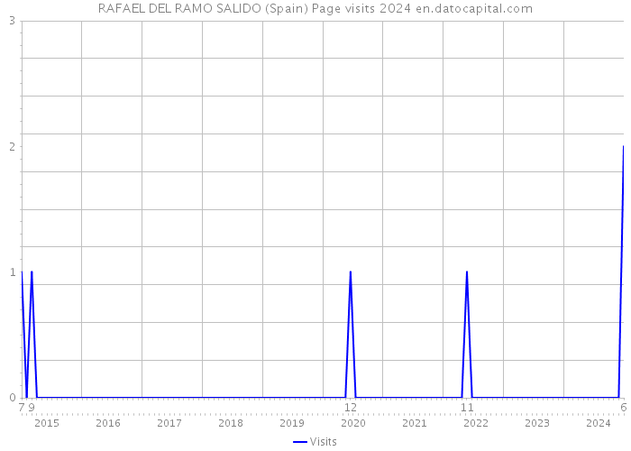 RAFAEL DEL RAMO SALIDO (Spain) Page visits 2024 