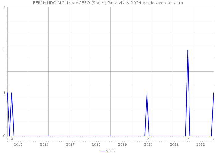 FERNANDO MOLINA ACEBO (Spain) Page visits 2024 