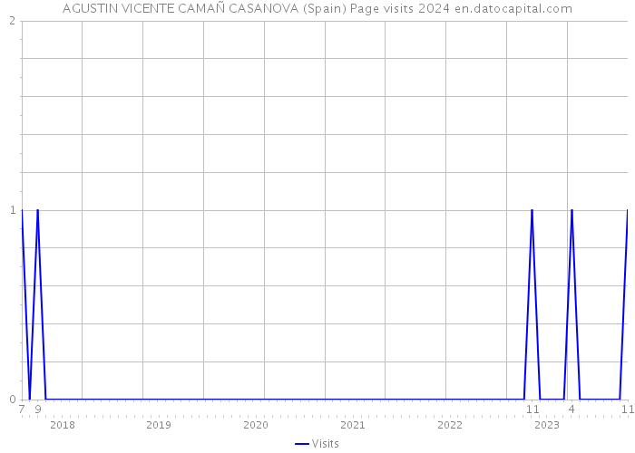 AGUSTIN VICENTE CAMAÑ CASANOVA (Spain) Page visits 2024 