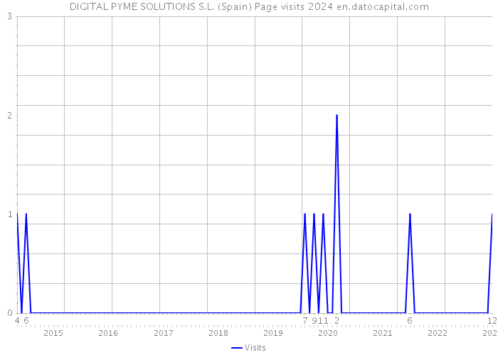 DIGITAL PYME SOLUTIONS S.L. (Spain) Page visits 2024 