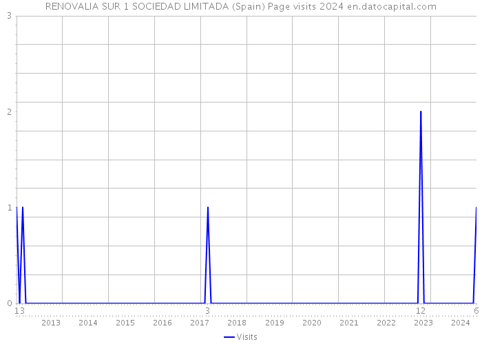 RENOVALIA SUR 1 SOCIEDAD LIMITADA (Spain) Page visits 2024 