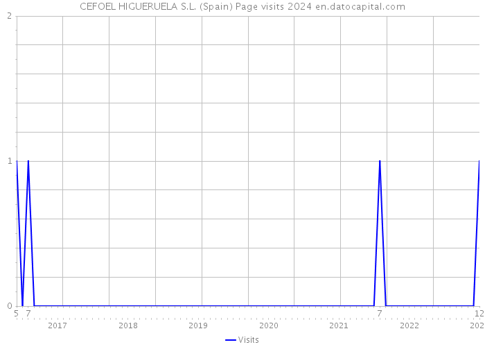 CEFOEL HIGUERUELA S.L. (Spain) Page visits 2024 