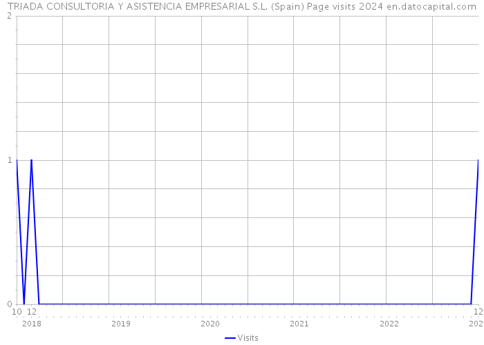 TRIADA CONSULTORIA Y ASISTENCIA EMPRESARIAL S.L. (Spain) Page visits 2024 