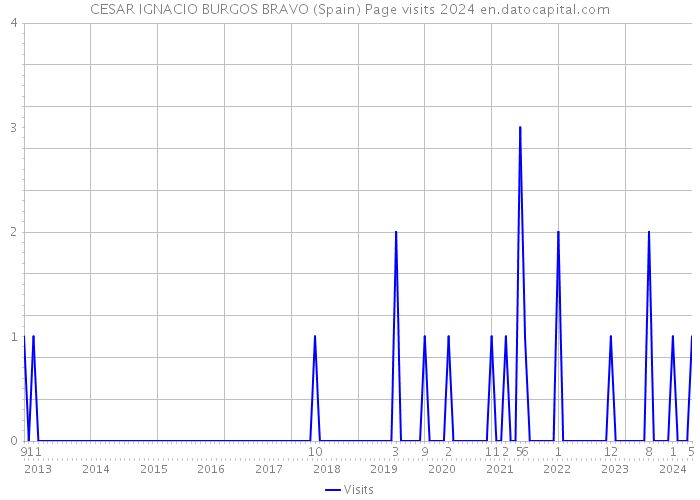 CESAR IGNACIO BURGOS BRAVO (Spain) Page visits 2024 