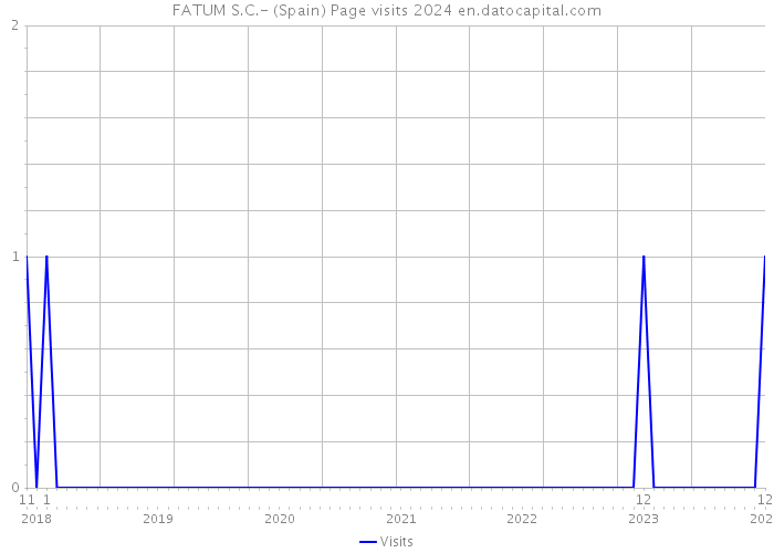 FATUM S.C.- (Spain) Page visits 2024 