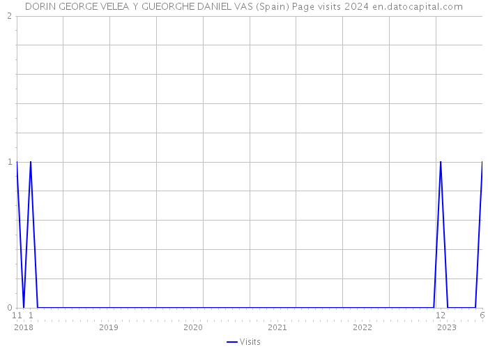 DORIN GEORGE VELEA Y GUEORGHE DANIEL VAS (Spain) Page visits 2024 