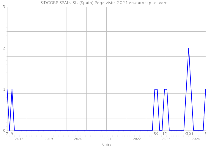 BIDCORP SPAIN SL. (Spain) Page visits 2024 