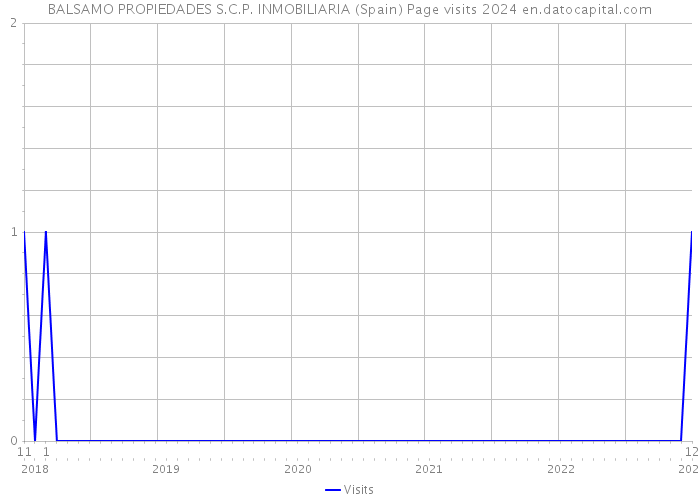 BALSAMO PROPIEDADES S.C.P. INMOBILIARIA (Spain) Page visits 2024 