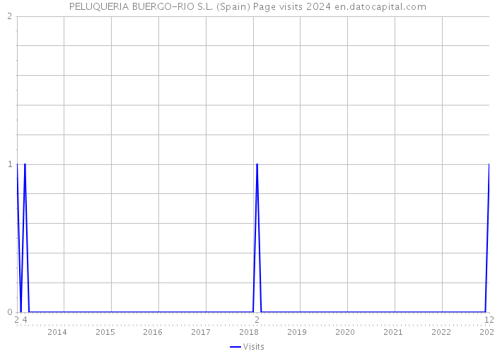 PELUQUERIA BUERGO-RIO S.L. (Spain) Page visits 2024 