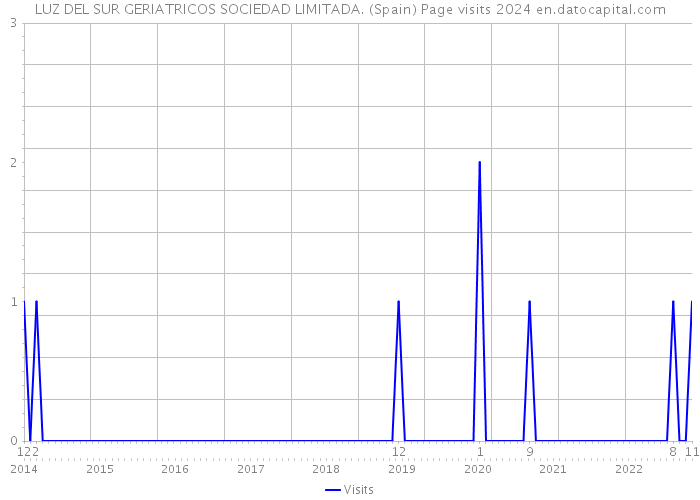 LUZ DEL SUR GERIATRICOS SOCIEDAD LIMITADA. (Spain) Page visits 2024 