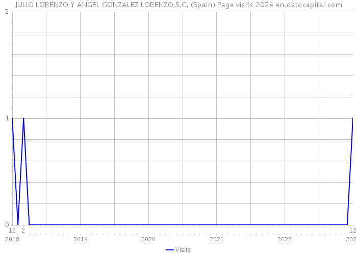JULIO LORENZO Y ANGEL GONZALEZ LORENZO,S.C. (Spain) Page visits 2024 