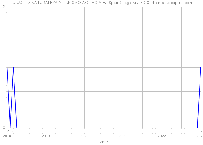TURACTIV NATURALEZA Y TURISMO ACTIVO AIE. (Spain) Page visits 2024 