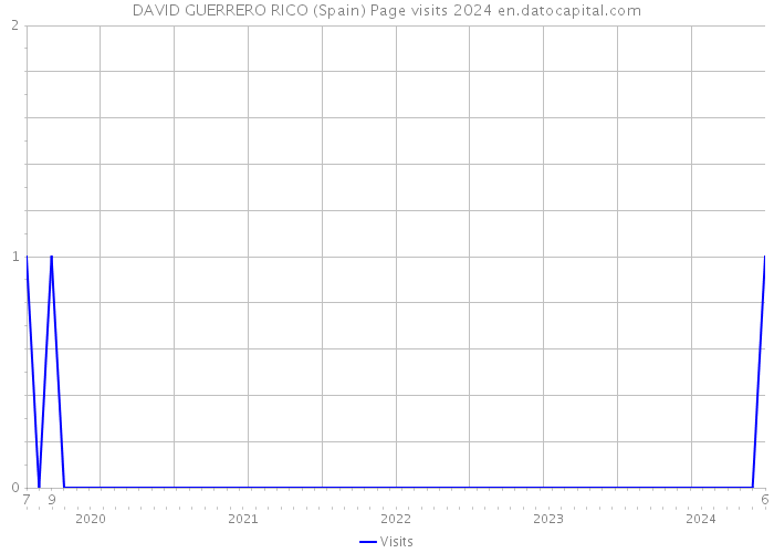 DAVID GUERRERO RICO (Spain) Page visits 2024 