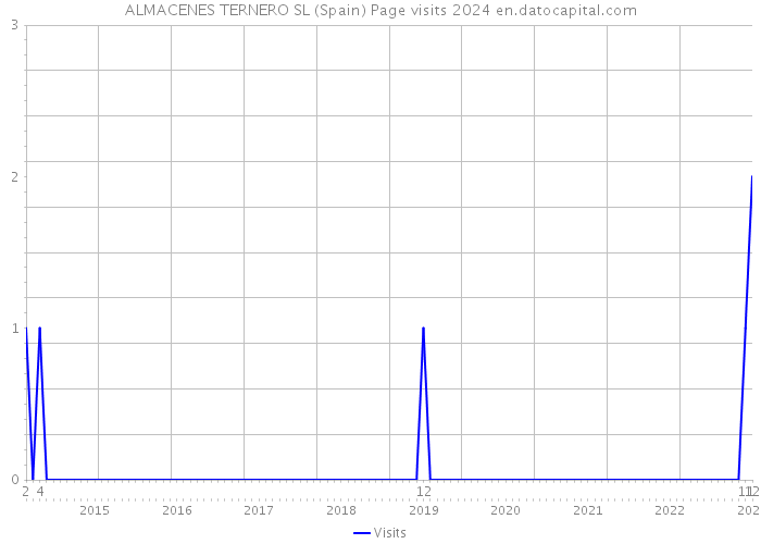 ALMACENES TERNERO SL (Spain) Page visits 2024 