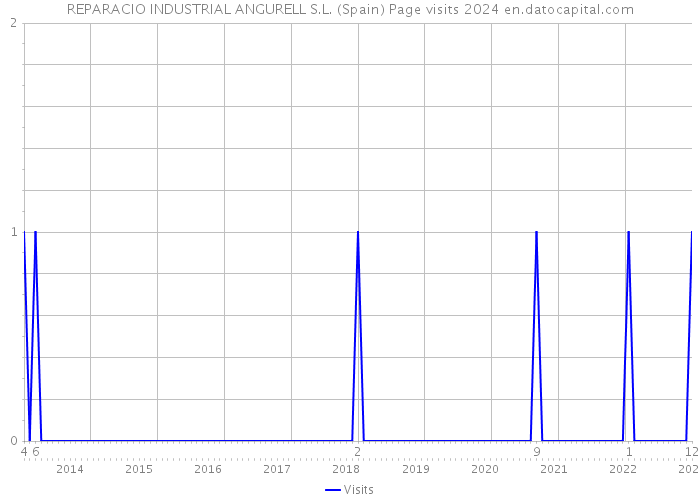 REPARACIO INDUSTRIAL ANGURELL S.L. (Spain) Page visits 2024 