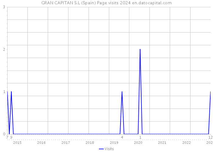 GRAN CAPITAN S.L (Spain) Page visits 2024 