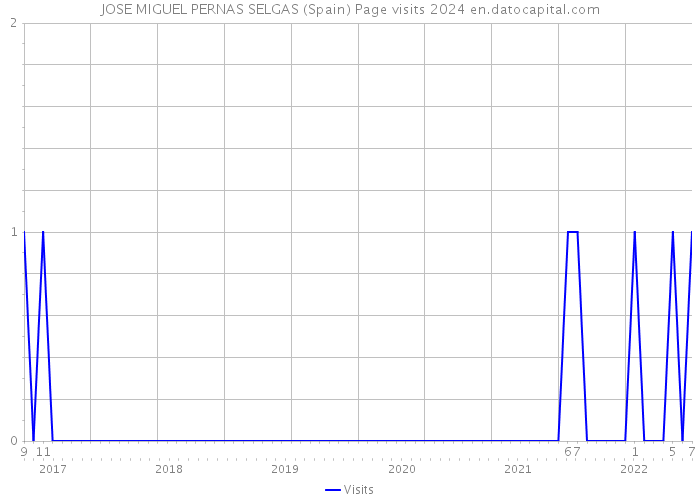 JOSE MIGUEL PERNAS SELGAS (Spain) Page visits 2024 