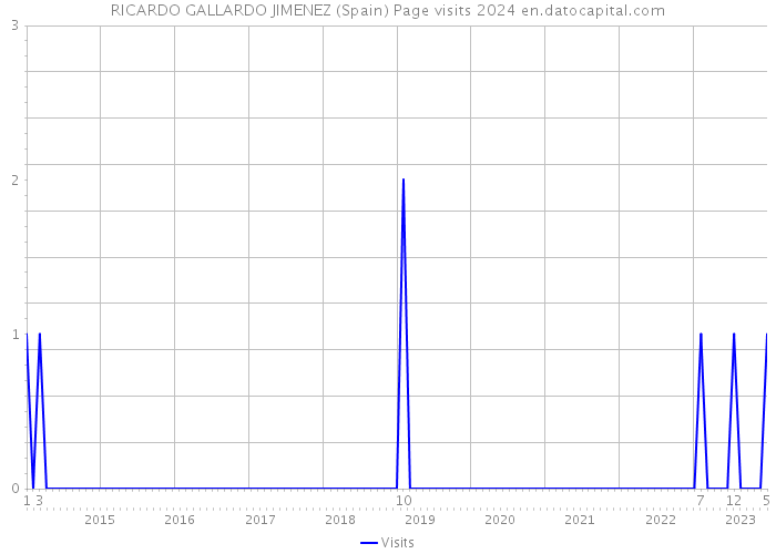 RICARDO GALLARDO JIMENEZ (Spain) Page visits 2024 