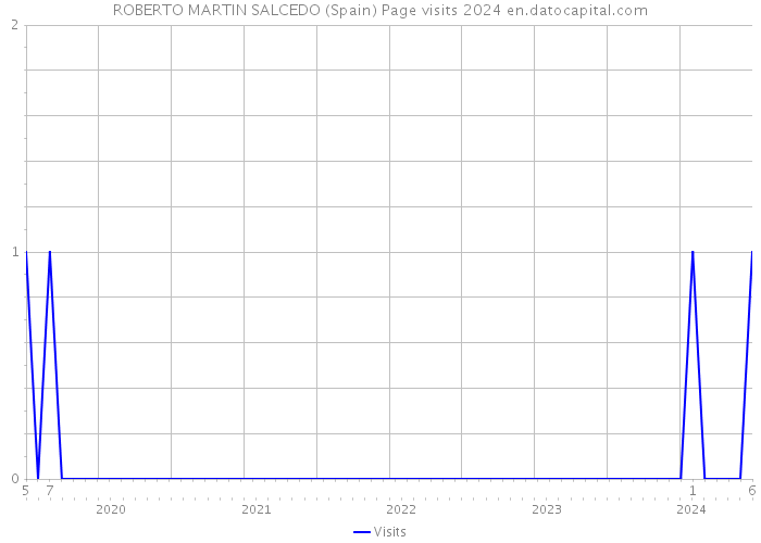 ROBERTO MARTIN SALCEDO (Spain) Page visits 2024 