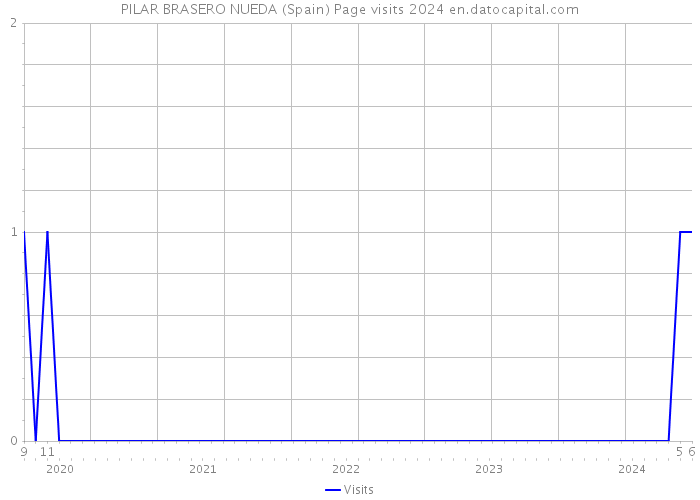 PILAR BRASERO NUEDA (Spain) Page visits 2024 