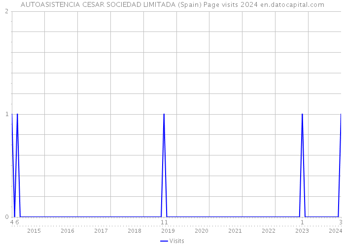 AUTOASISTENCIA CESAR SOCIEDAD LIMITADA (Spain) Page visits 2024 