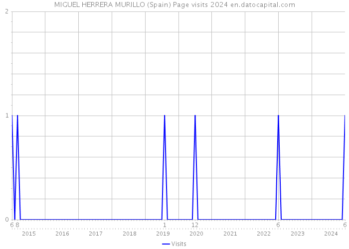 MIGUEL HERRERA MURILLO (Spain) Page visits 2024 