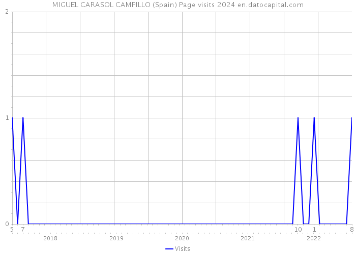 MIGUEL CARASOL CAMPILLO (Spain) Page visits 2024 