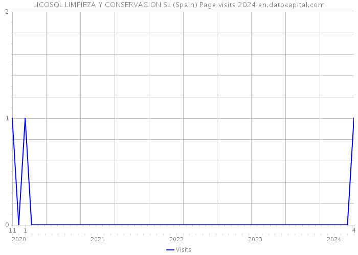 LICOSOL LIMPIEZA Y CONSERVACION SL (Spain) Page visits 2024 