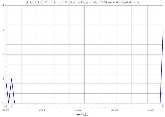 JUAN CASTRO-RIAL CEIDE (Spain) Page visits 2024 