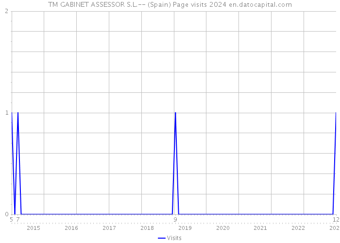 TM GABINET ASSESSOR S.L.-- (Spain) Page visits 2024 