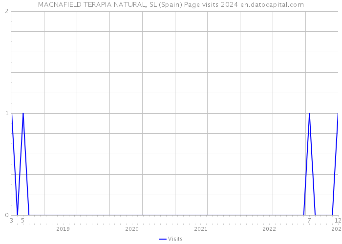 MAGNAFIELD TERAPIA NATURAL, SL (Spain) Page visits 2024 