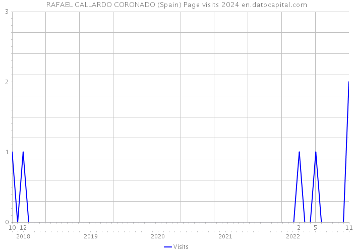 RAFAEL GALLARDO CORONADO (Spain) Page visits 2024 
