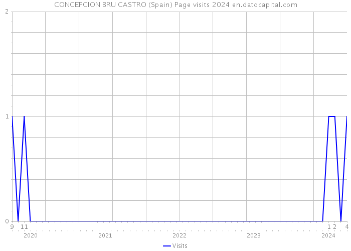 CONCEPCION BRU CASTRO (Spain) Page visits 2024 