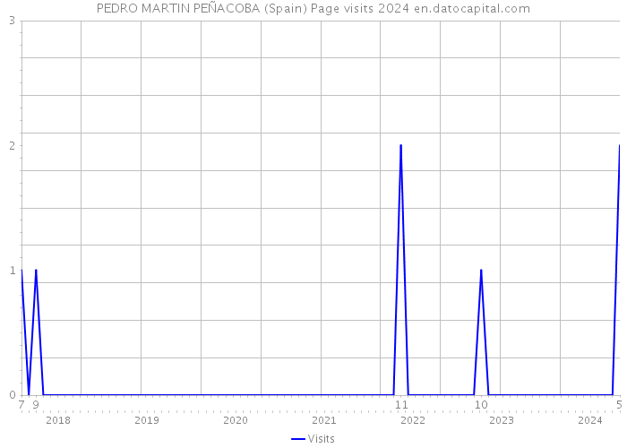 PEDRO MARTIN PEÑACOBA (Spain) Page visits 2024 