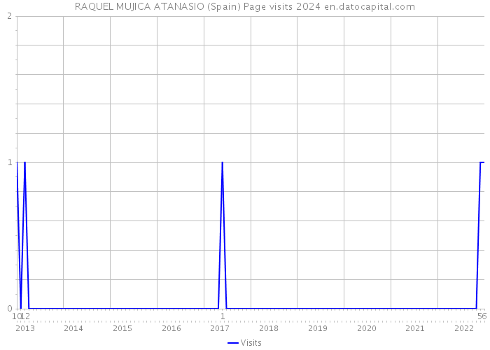 RAQUEL MUJICA ATANASIO (Spain) Page visits 2024 