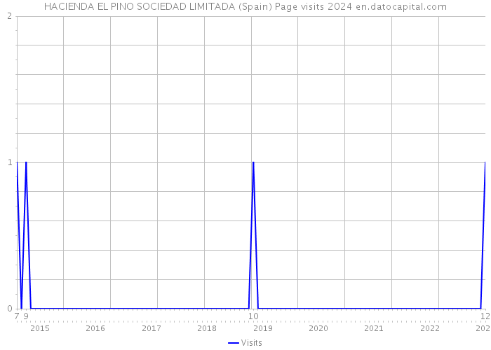 HACIENDA EL PINO SOCIEDAD LIMITADA (Spain) Page visits 2024 