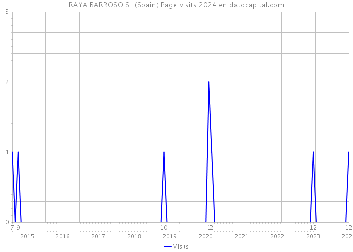 RAYA BARROSO SL (Spain) Page visits 2024 